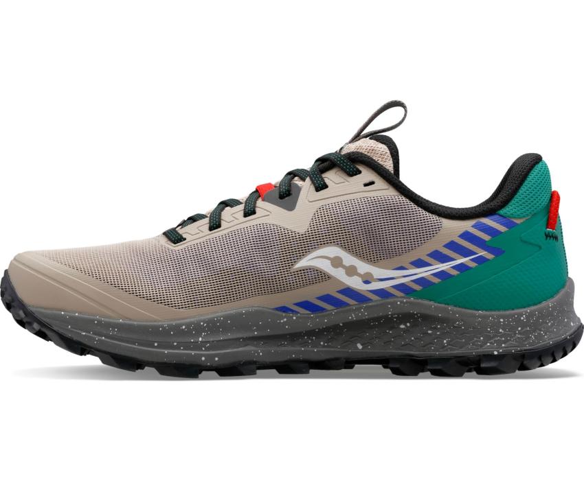 Saucony Peregrine 11 Astrotrail | Women Running